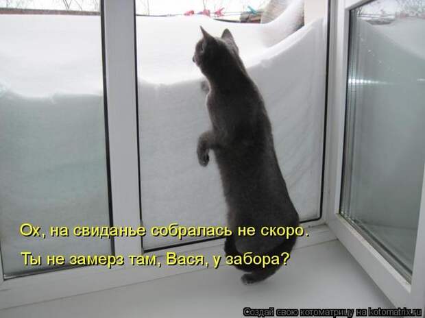 Котоматрицы