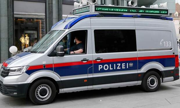 Голый украинец избил двух полицейских в Вене