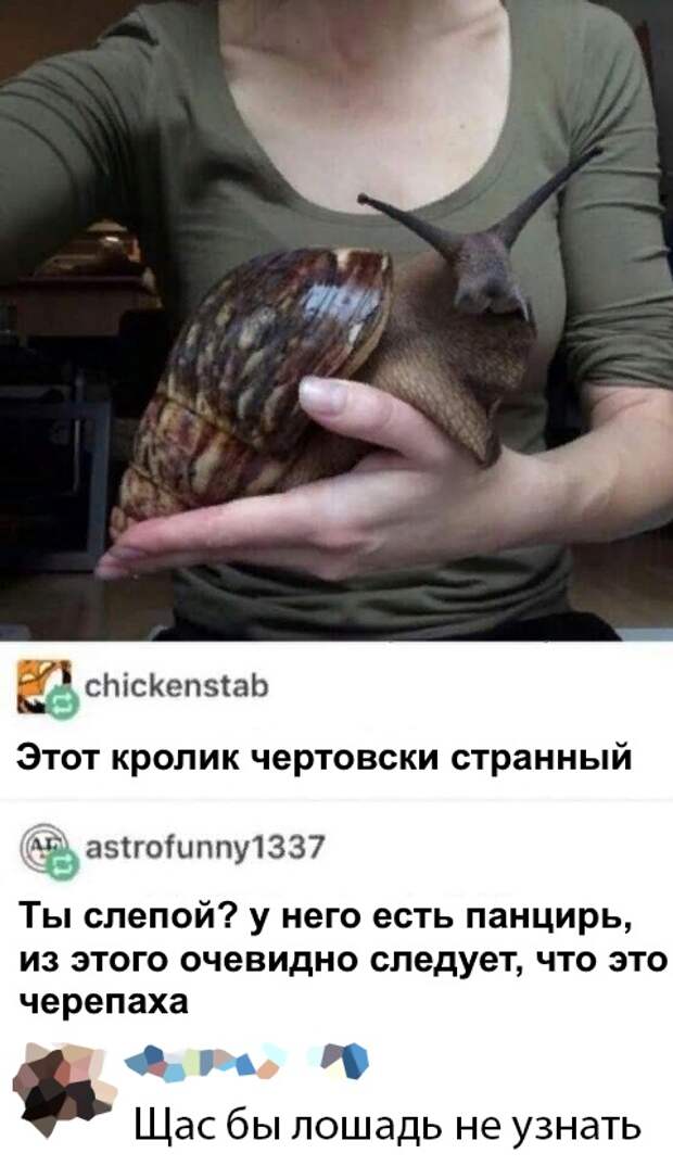www.vsyako.net