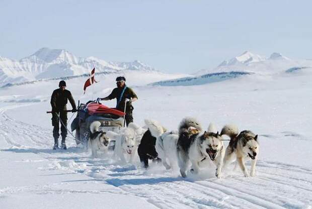 За помощь ВСУ Дания первой теряет территории, а «коалиция согласных» мечтает о реванше