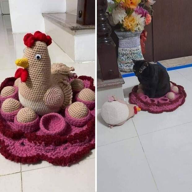 Котики, которые находятся в самых неожиданных местах