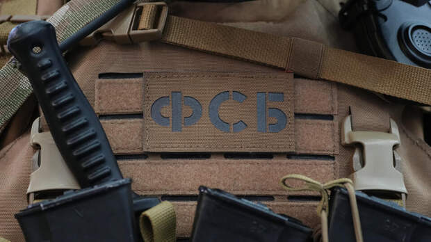 Жителю Подмосковья дали 12 лет строгача за шпионаж в пользу Украины