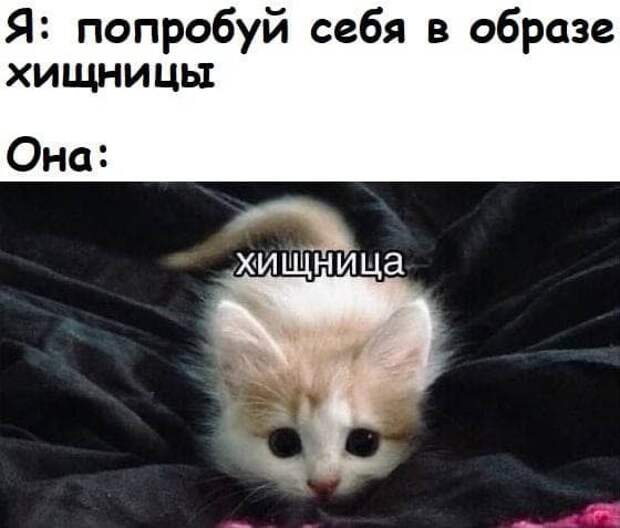 Мемы и шутки про &quot;это&quot;