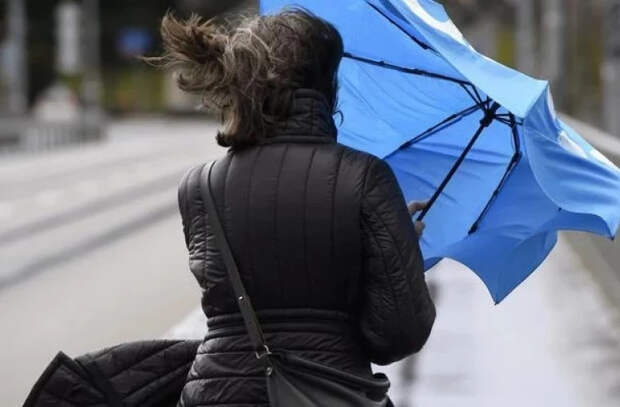 Желтый код опасности из-за сильного ветра в Республике Молдова