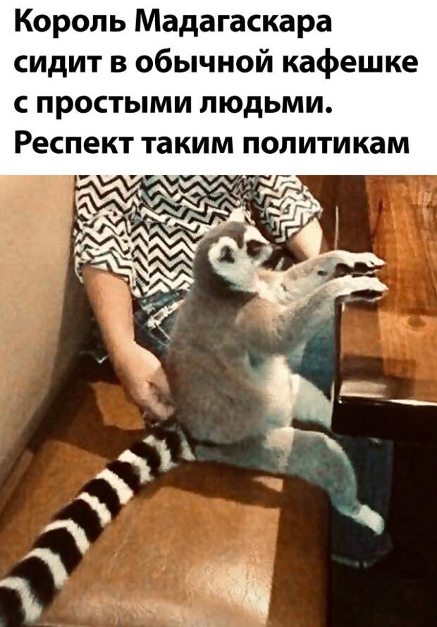 Смешные картинки вечер 2 августа 2021