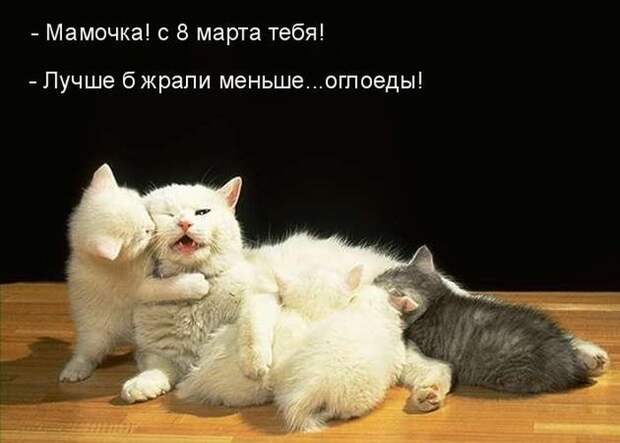 праздник, 8 марта, весна