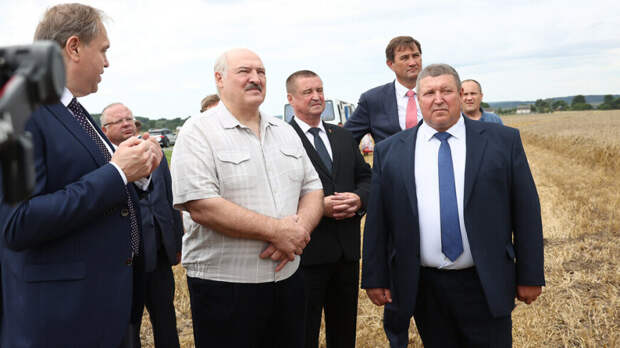 Лукашенко поручил выходить на темпы уборки зерновых в 6% площадей в день