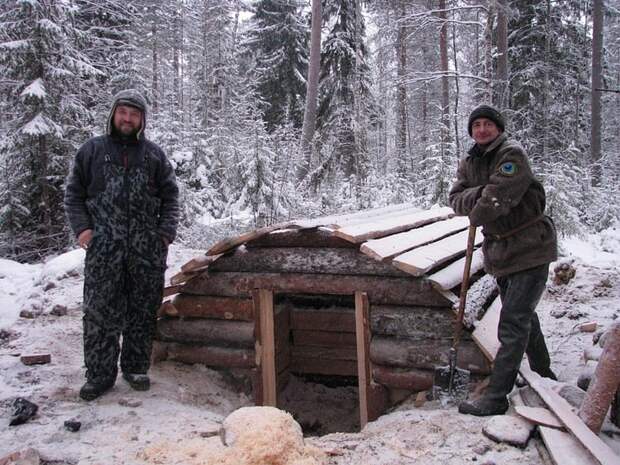 Отпуск в лесу