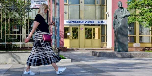 Политолог Владимир Шаповалов отметил беспрецедентную открытость голосования по Конституции. Фото: mos.ru