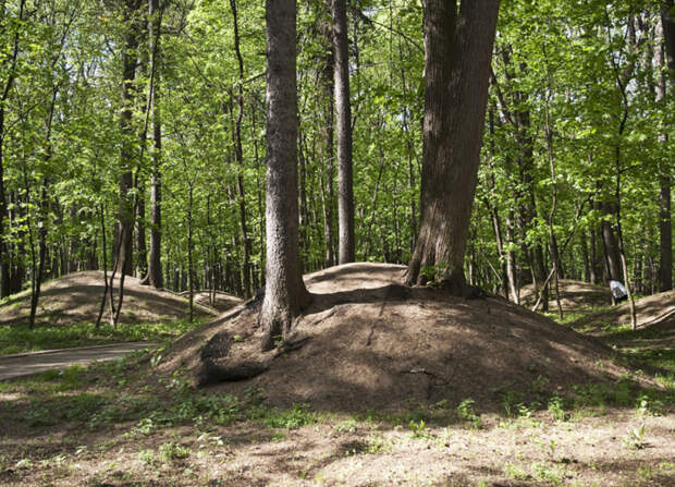 Курганы кривичей в Царицынском лесопарке./Фото: s5.hostingkartinok.com Курганы кривичей в Царицынском лесопарке./Фото: s5.hostingkartinok.com