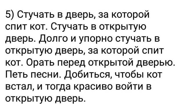 Наш ответ хвостатым животные, кошка, юмор