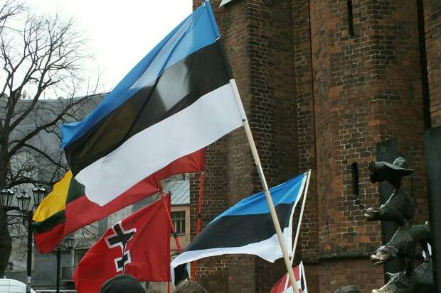 В Эстонии заявили, что продуктов на случай войны хватит только на неделю