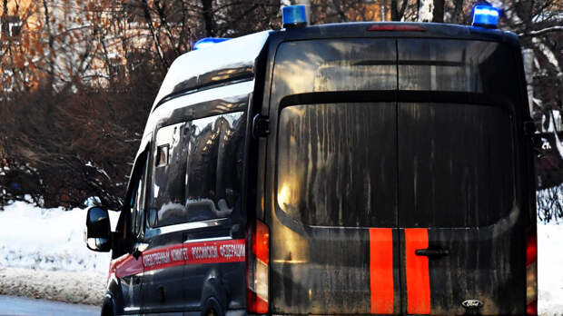СК: задержан подозреваемый в похищении девятилетней девочки в Смоленске