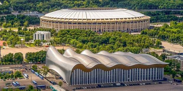 Собянин наградил московских спортсменов - призеров Олимпиады в Токио. Фото: М. Денисов mos.ru