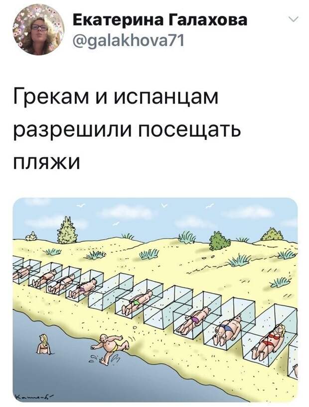 Политические комментарии из инета
