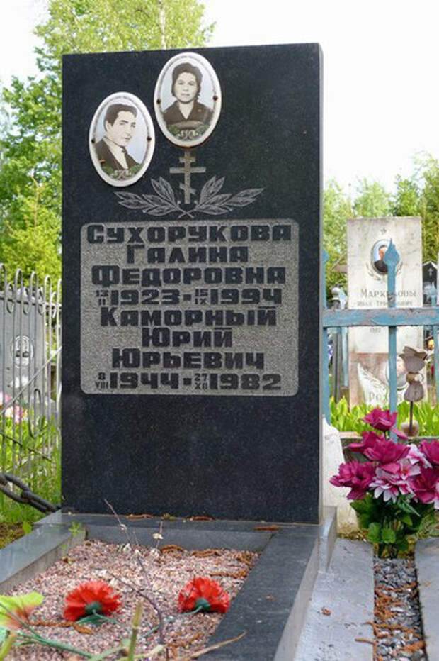 Злой рок Юрия Каморного