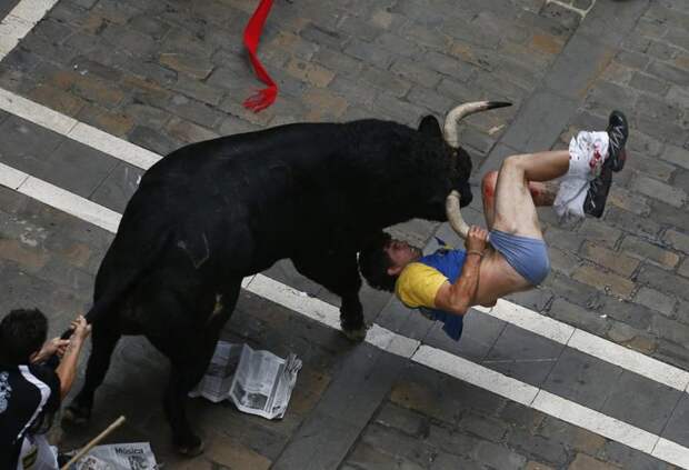 Во время энсьерро, ежегодного забега от быков на фестивале Сан-Фермин, постоянно случаются несчастья. Вот и в этот раз. Удивительно, правда? Июль 2013, Памплоне, Испания. животные, люди