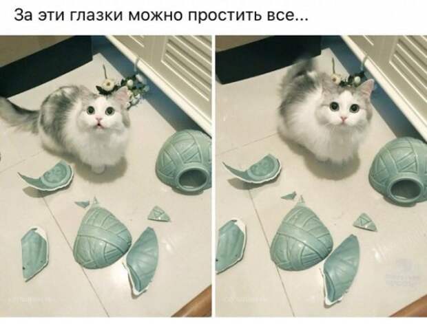 Прикольные картинки абавсём:D