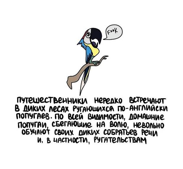 Интересные и короткие факты на все случаи жизни