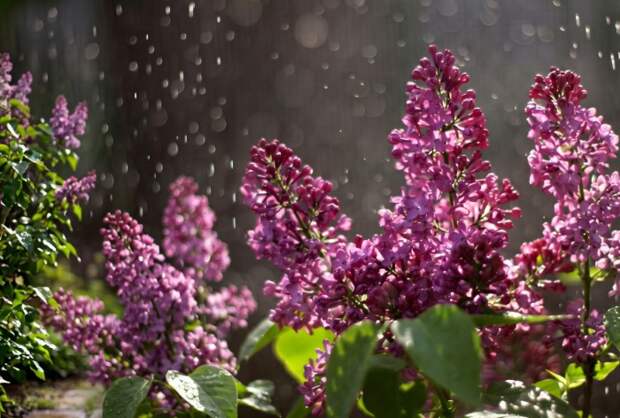 Астраханская погода продолжает капризничать