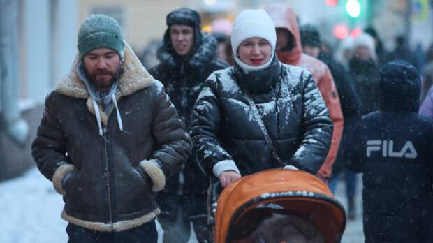 В Госдуме назвали важным решение продлить программу маткапитала