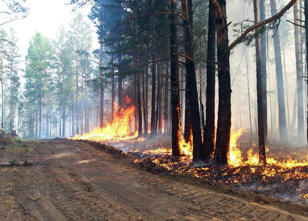 МЧС Краснодарского края предупредило о высокой пожароопасности на 2 и 3 мая