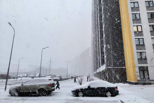 На возврат денег жертве «схемы Долиной» уйдет 30 лет