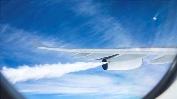 Немного жутко. |Фото: топчег.рф. Немного жутко. |Фото: топчег.рф.