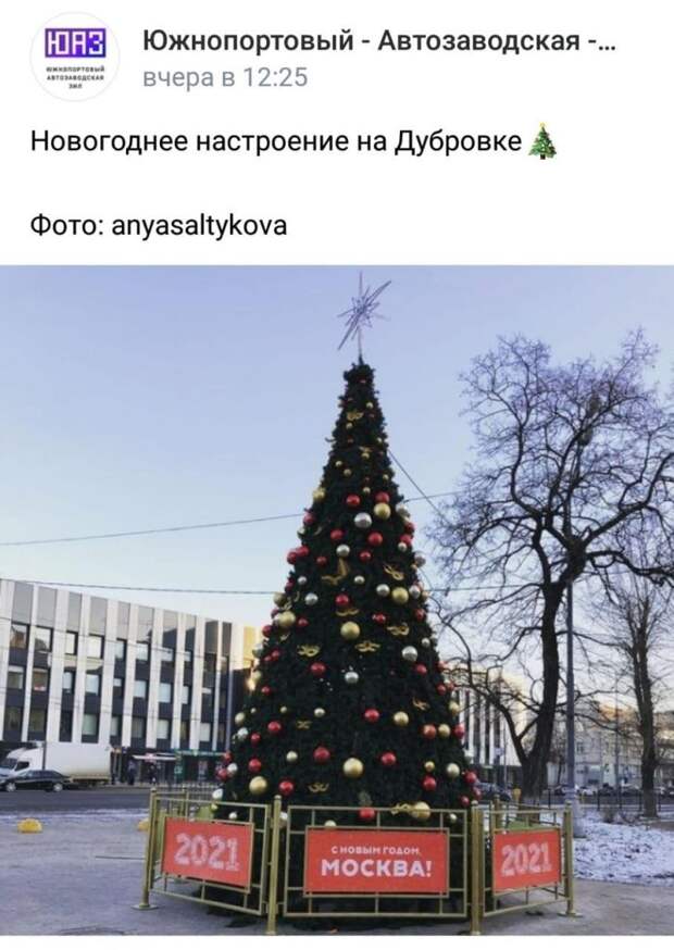 Фото дня: зимняя красавица возле «Дубровки»