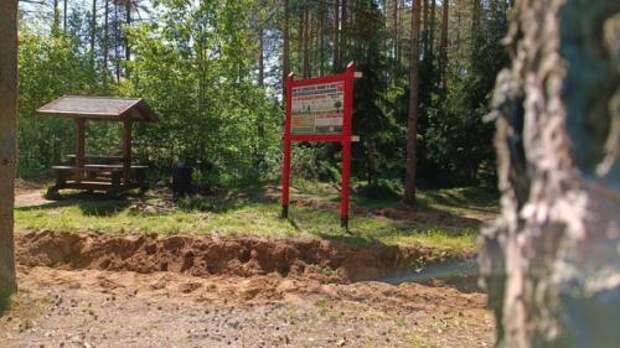 Одна из самых добрых профессий - охранять лес. 09