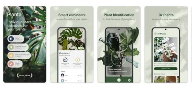 «Растение» — приложение, помогающее в уходе за комнатными и другими видами растений