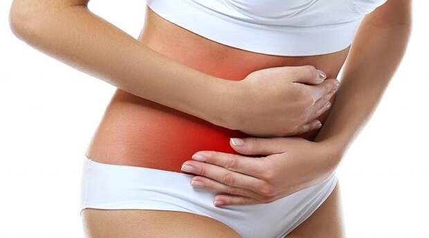 7299009_shutterstock_5744653871024x683 (700x390, 55Kb)
