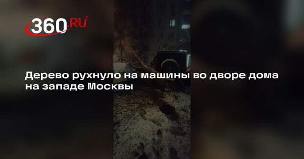 Дерево рухнуло на машины во дворе дома на западе Москвы