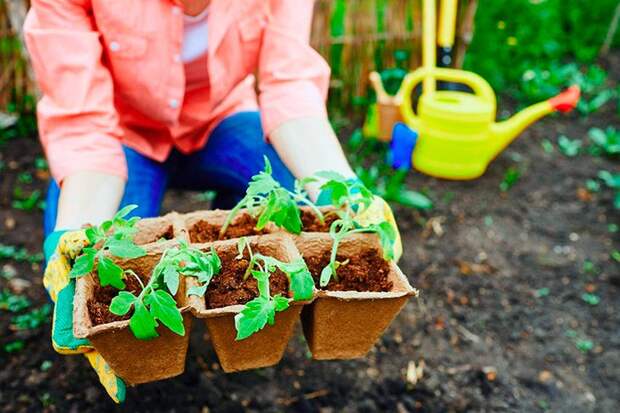 Ничего сложного. /Фото: myfarming.ru. Ничего сложного. /Фото: myfarming.ru.
