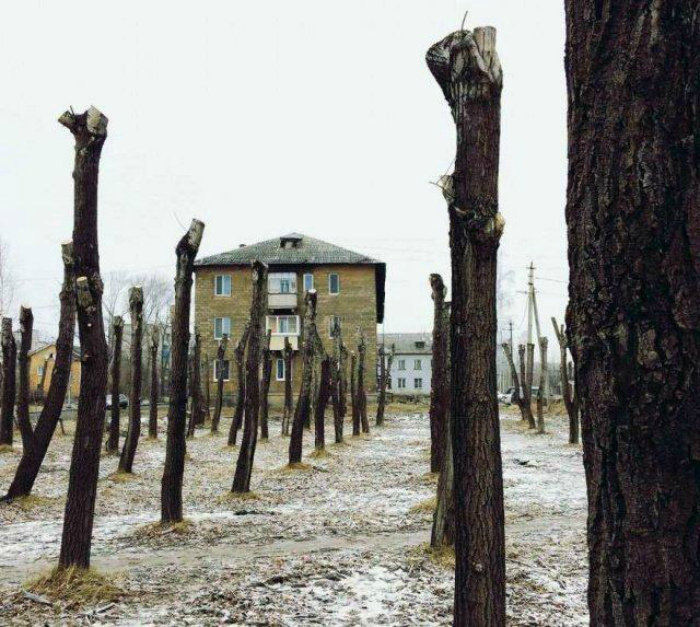 Воодушевляющий вид на парк. Воодушевляющий вид на парк.