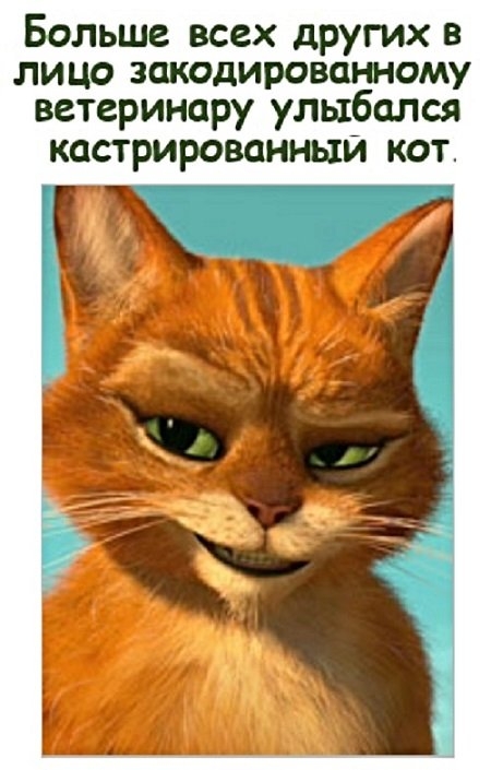 Картинки с надписями, истории и анекдоты