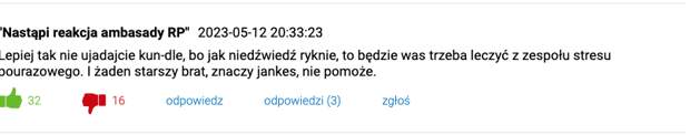 Скриншот © wiadomosci.dziennik.pl