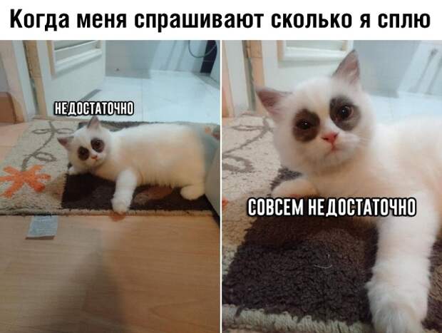 www.vsyako.net
