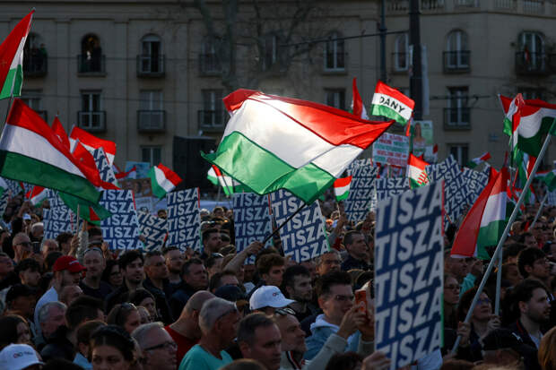 Зеленского обвинили в постоянном финансировании венгерской оппозиции