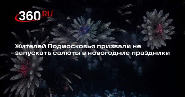 Жителей Подмосковья призвали не запускать салюты в новогодние праздники