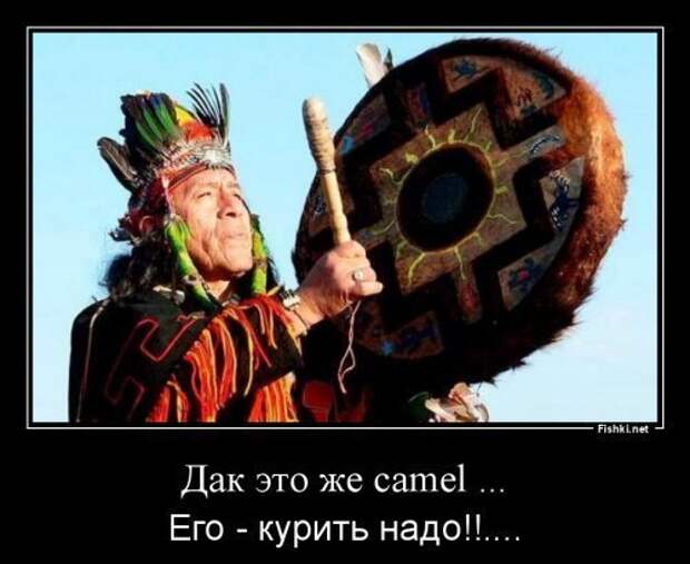 Однажды из цирка сбежал верблюд выходной, шутка., юмор