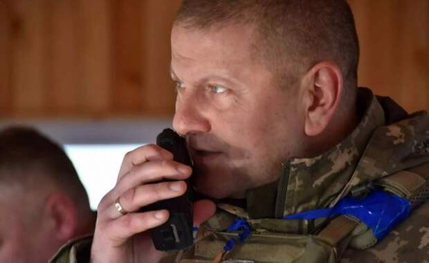 На Украине заявили об отсутствии планов наступления в Донбассе