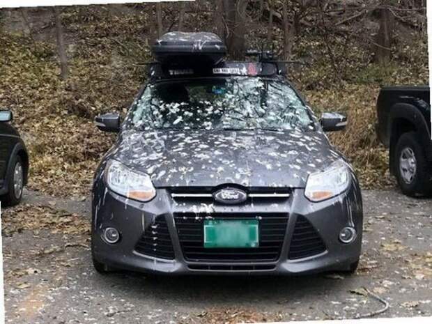 Подборка автоюмора (33 фото)