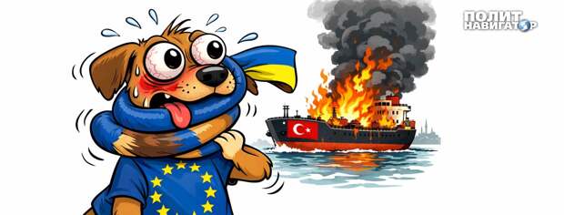 Босфорский инцидент: Виляющий собакой хвост «потужно» ударил по ЕС