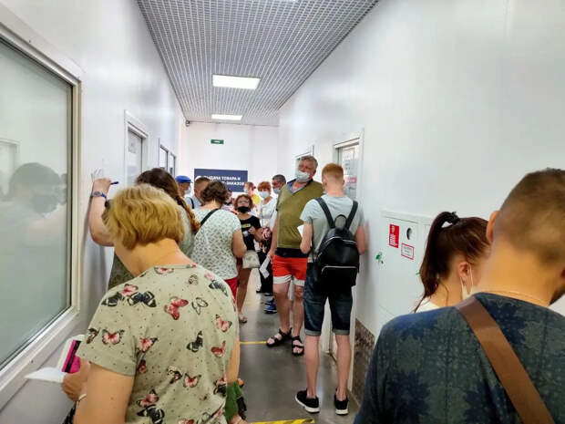 Ученые создали таблетку, снижающую "плохой" холестерин на 60%