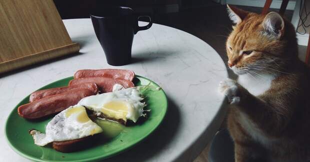 Ученые назвали популярный продукт, повышающий риск смертельных заболеваний