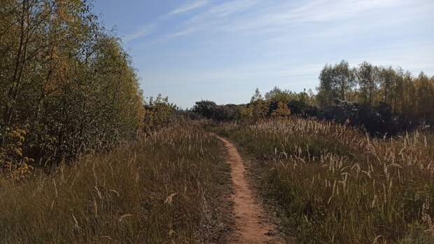 В Удмуртии 25 сентября был побит температурный рекорд 2006 года