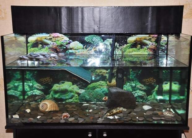 аквариум для черепахи 17