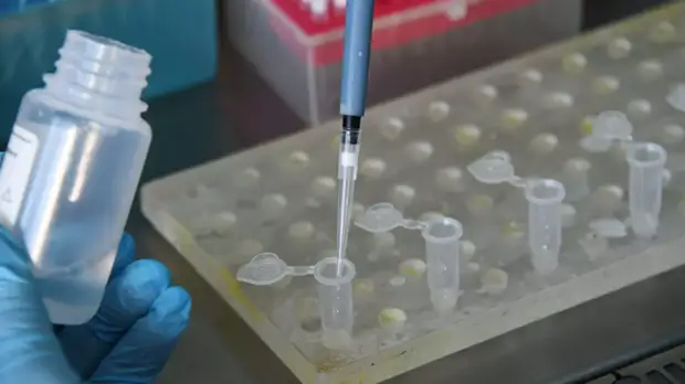 В Баку госпитализировали четверых иранцев с подозрением на коронавирус