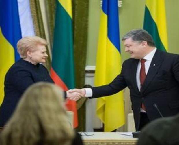 встреча президента Литвы и президента Украины